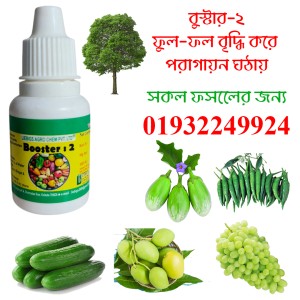 Booster 2 | বুস্টার ২ এর কাজ ও ব্যবহার