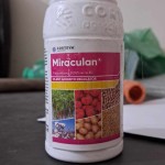 Miraculan | miraculan price in bd