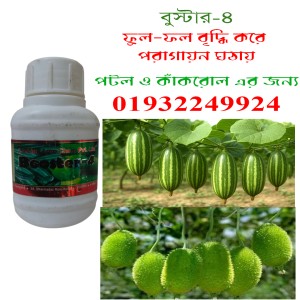 Booster-4 | বুস্টার-৪ 250ML